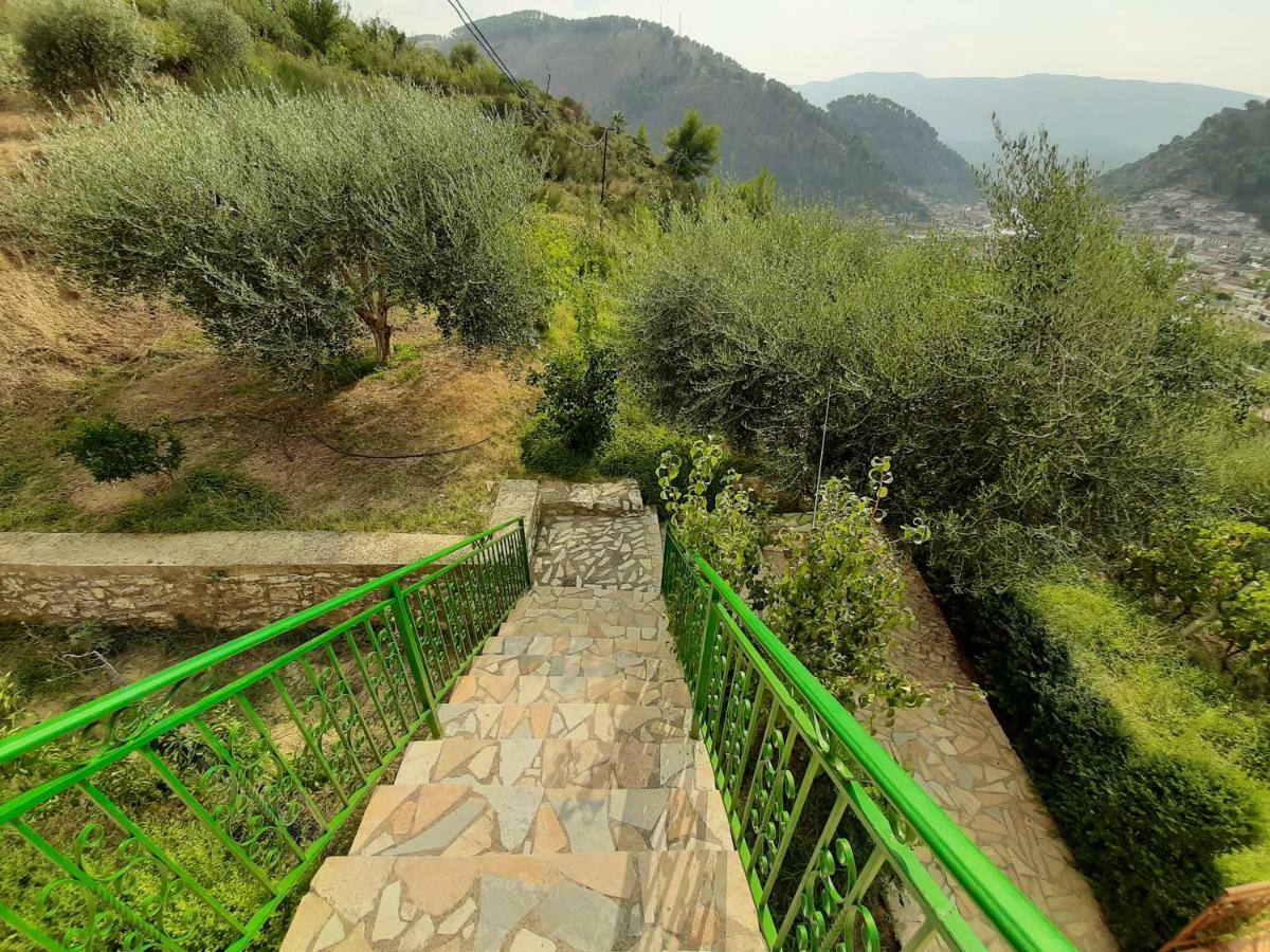 Guest House Pashollari Berat Dış mekan fotoğraf