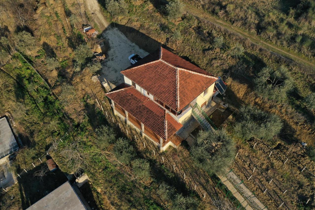 Guest House Pashollari Berat Dış mekan fotoğraf